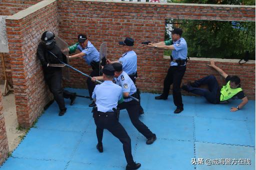 全警实战大练兵提升办案效力,全警实战大练兵加强执法训练