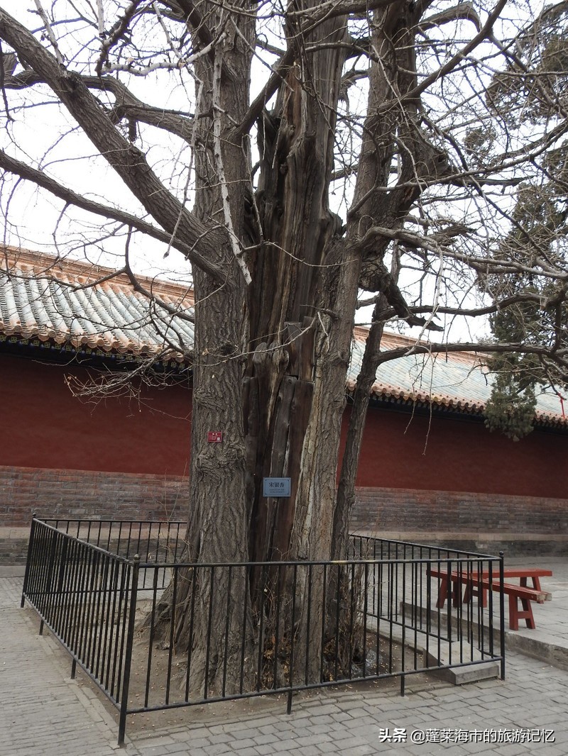 向经典致敬向传统致敬,向经典致敬弘扬传统文化