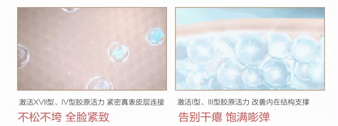 柏氏胶原蛋白使用顺序,柏氏胶原蛋白抗皱原液