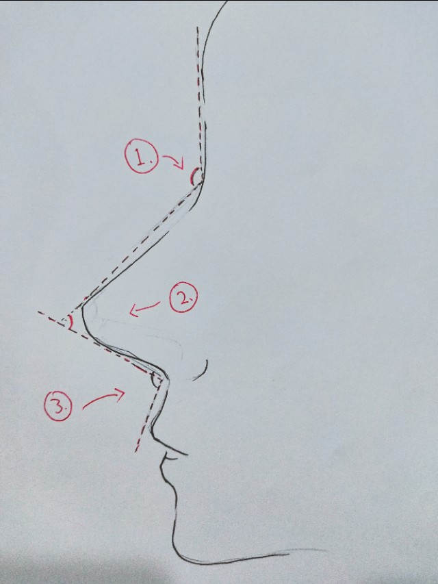 鼻须是啥,鼻须的营养价值