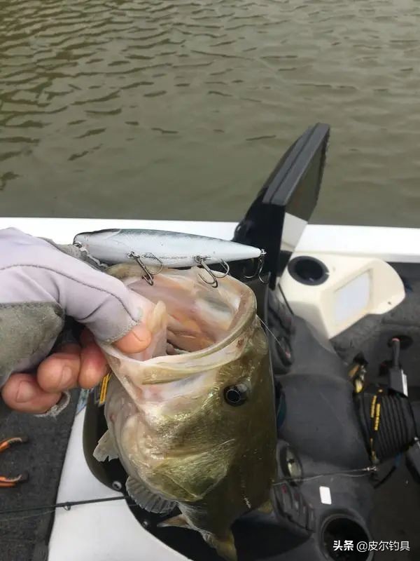 贝克力诱鱼水下测评,贝克力鲈鱼诱惑软饵