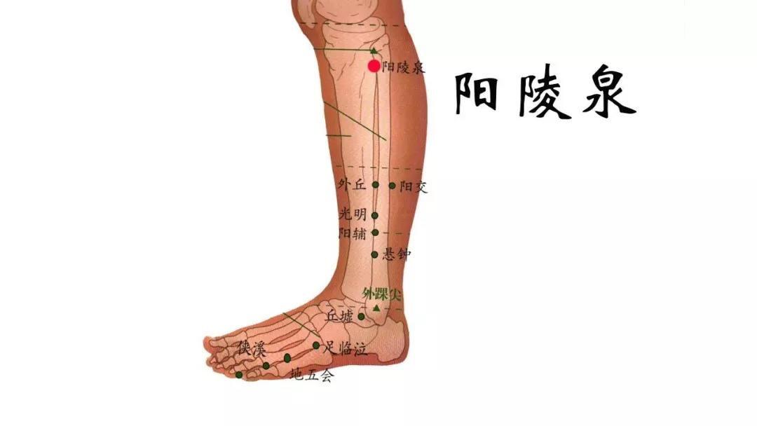 按手背哪个部位穴位可缓解腰痛,手上哪个穴位可以缓解腰部酸痛