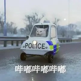 母胎solo19年什么时候可以脱单,母胎solo女怎么能快速脱单