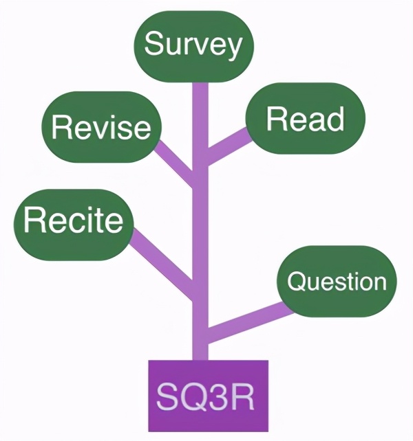国际公认最有效学习方法,全球公认高效学习方法
