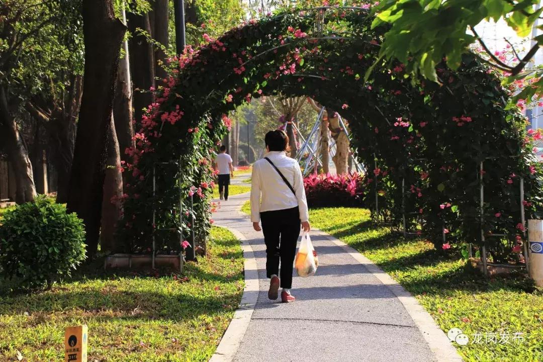 春天该很好，倘若你在场！龙岗最“花心”的地方是……