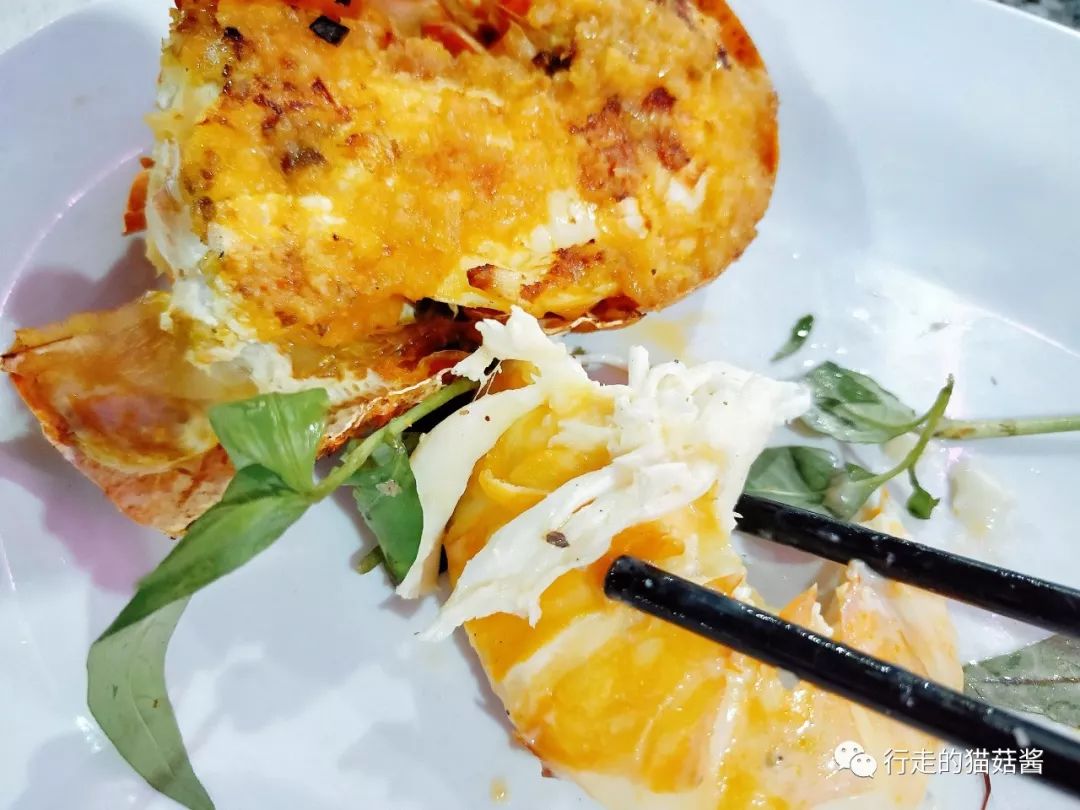 胡志明大叻美奈旅游攻略,越南胡志明美奈大叻地图