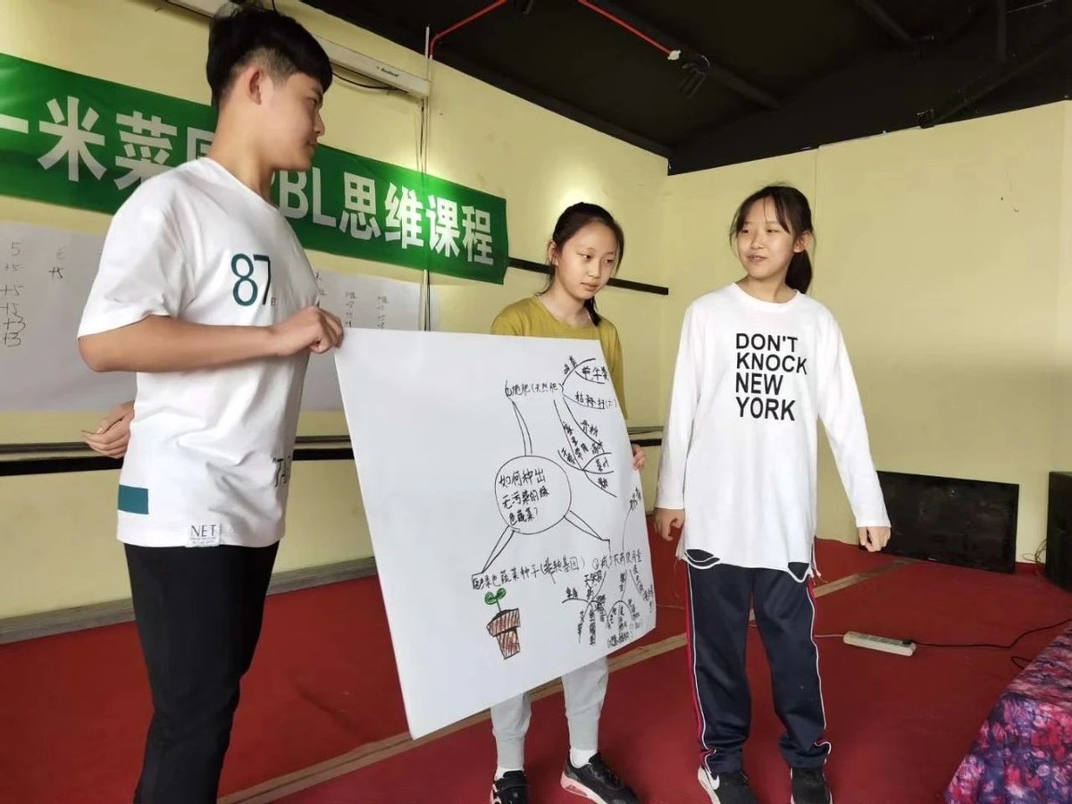 如何利用五亩地赚钱,农地如何利用