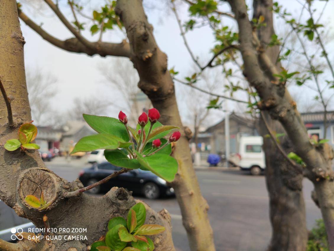 RedmiK30Pro发售价,redmik30pro128二手多少钱