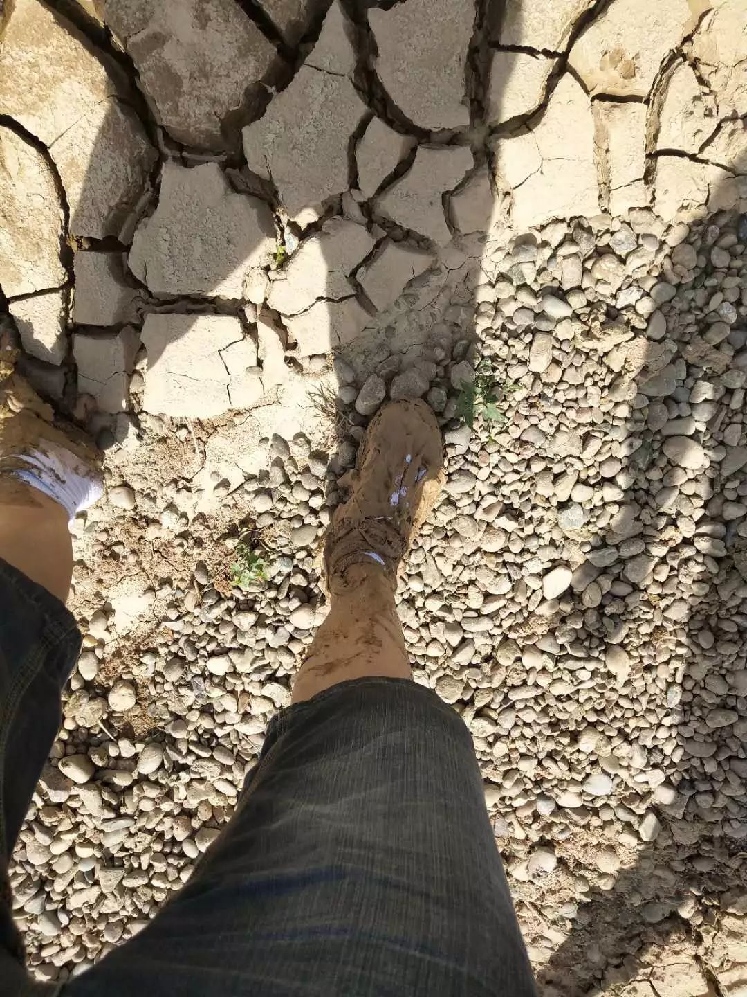 碧桂园扶贫英德,碧桂园扶贫江苏