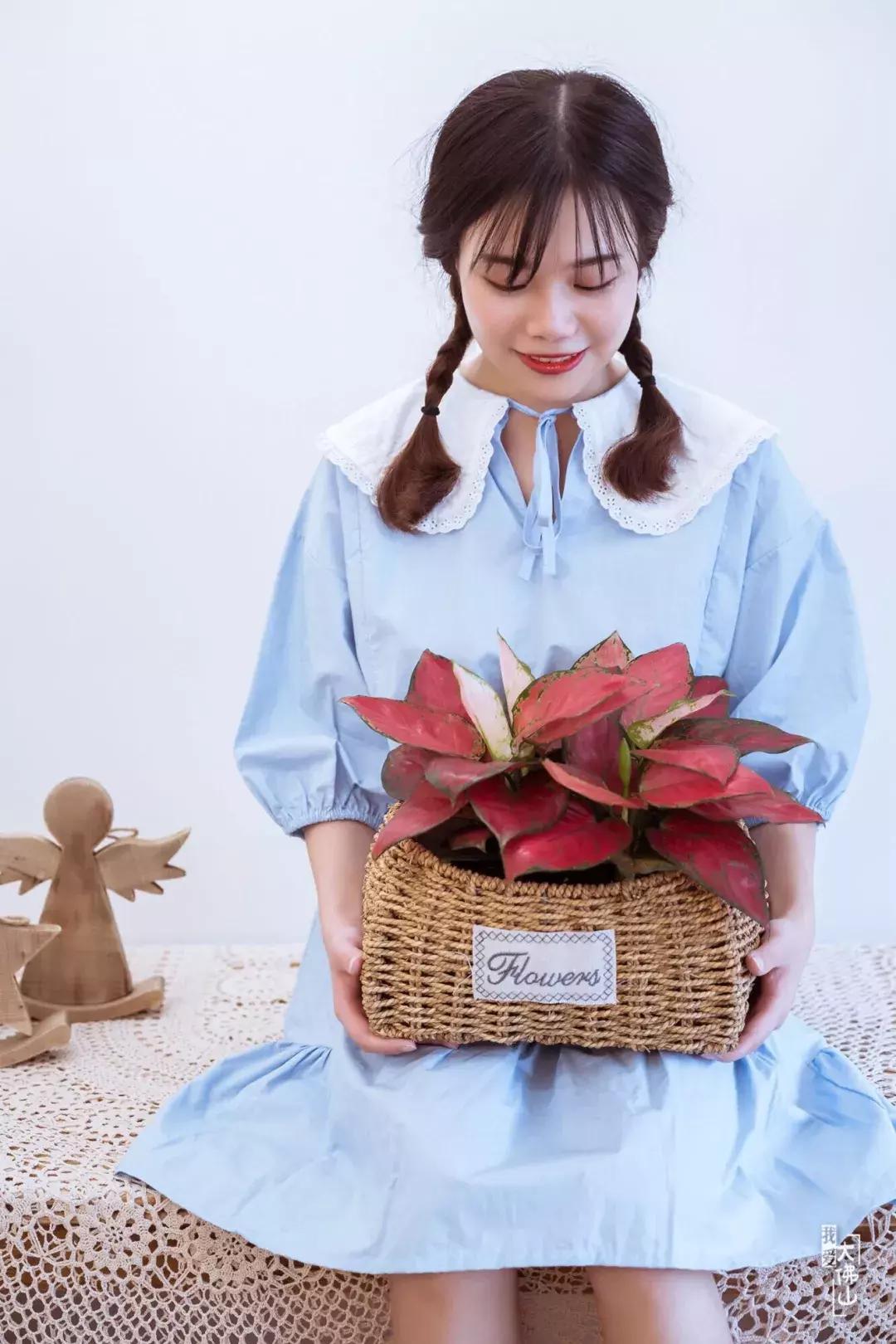 ￥800公主裙免费送！这家客人进门就尖叫的店，只贩卖可爱