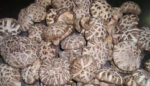 香菇菌棒感染杂菌的处理办法,香菇绿霉菌怎么引起的