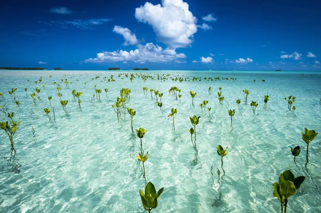 世界公认最美的十个地方,全球公认的最美的二十个地方