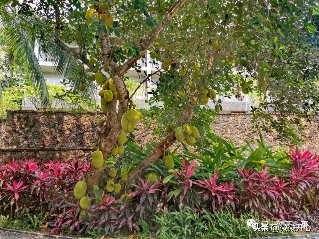 这三家酒店最适合企业商旅的需求