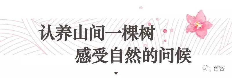 微时光田东,微时光美好生活