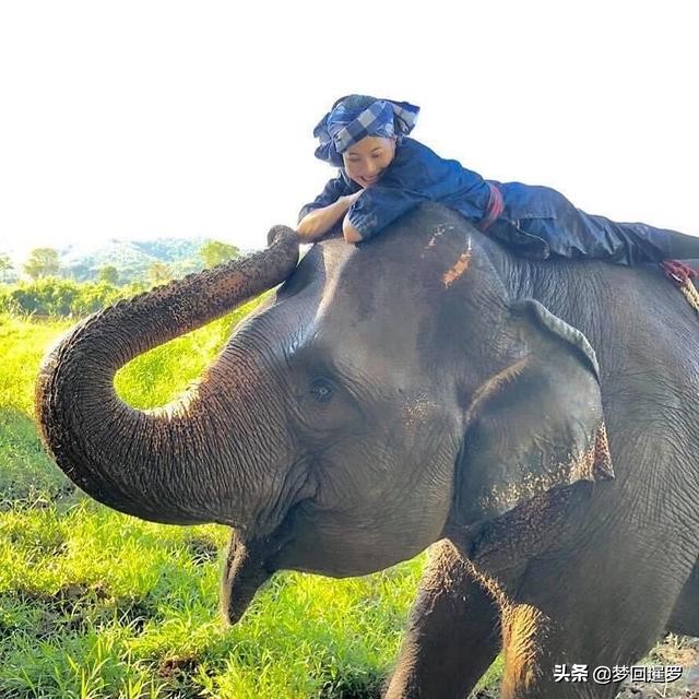 泰国旅游注意的礼仪和禁忌,去泰国需要注意哪些旅游禁忌