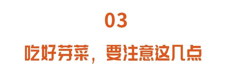 老中医眼中的长寿菜,夏天常吃长寿芽