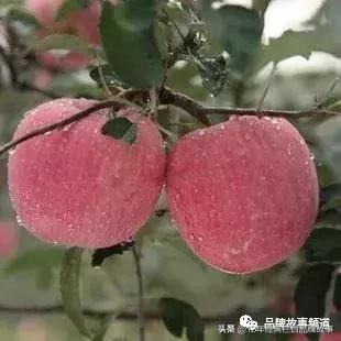 *安泰**市工商局：立足”5S“服务，弘扬挑山工精神