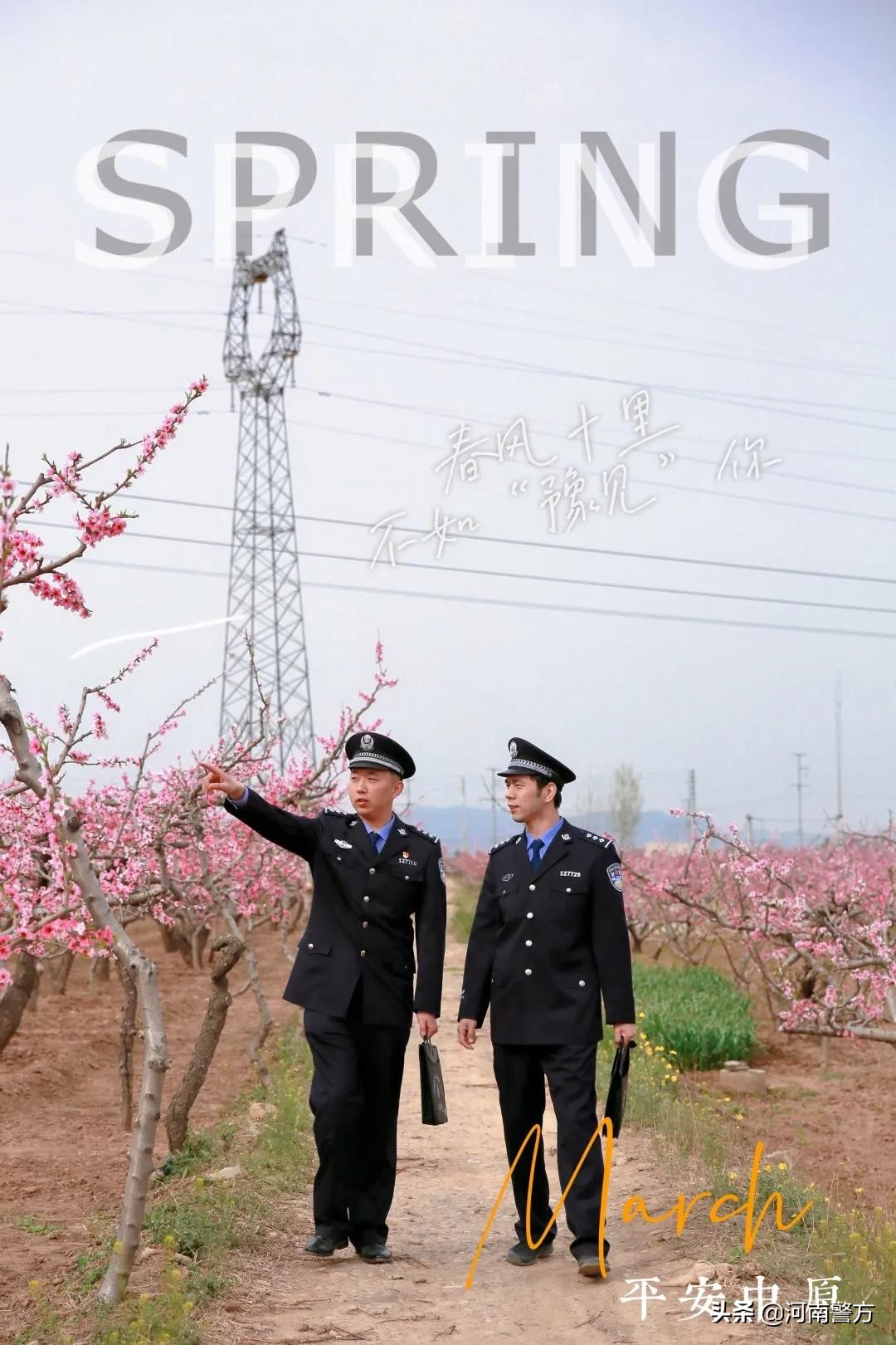 豫警文苑丨春风十里，不如“豫见”你