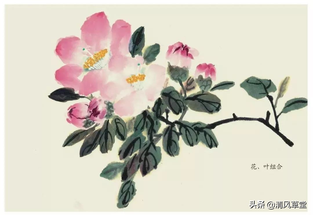 少儿国画花卉画法视频,各种花卉的100种画法
