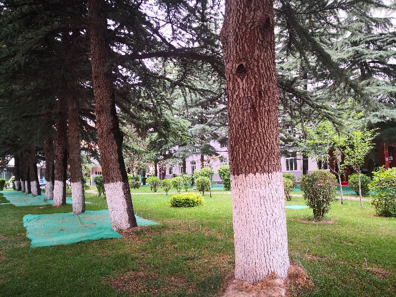 国家电网甘肃电力科学研究院地址,国网甘肃电力公司电科院近期新闻