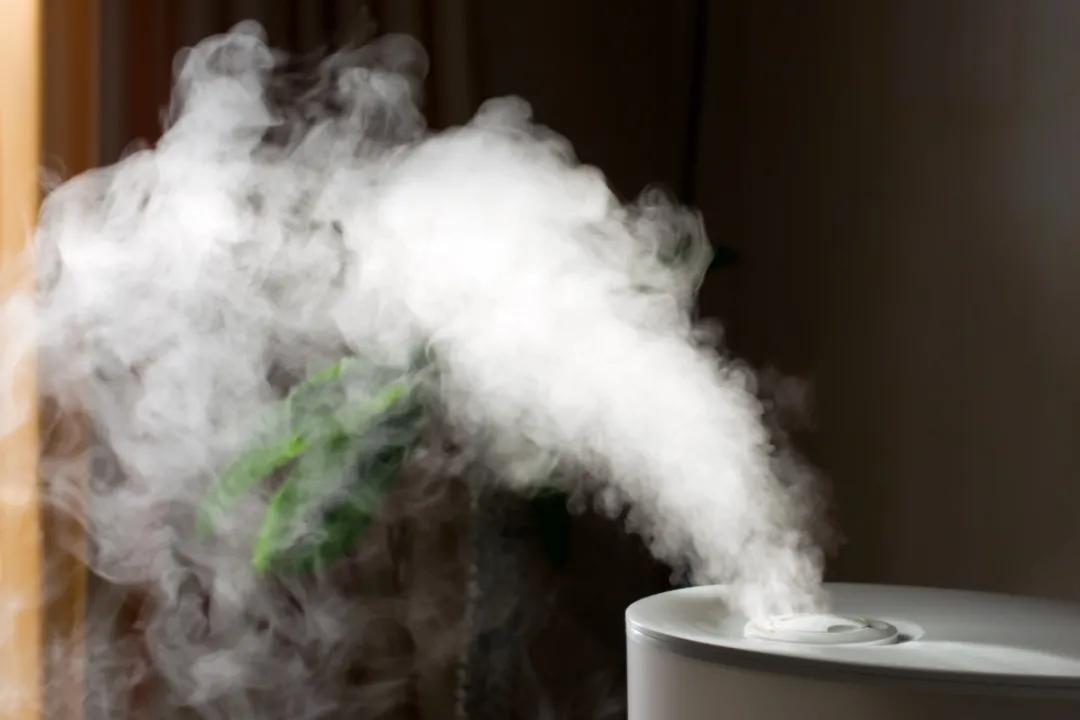 不是感冒一直流鼻涕鼻塞怎么解决,成人不是感冒时不时流鼻涕怎么办