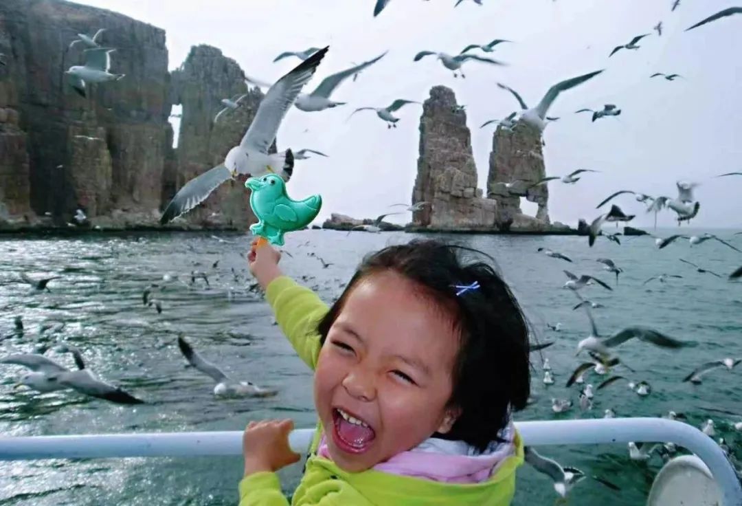 看见美好之境,长岛看见美好之境