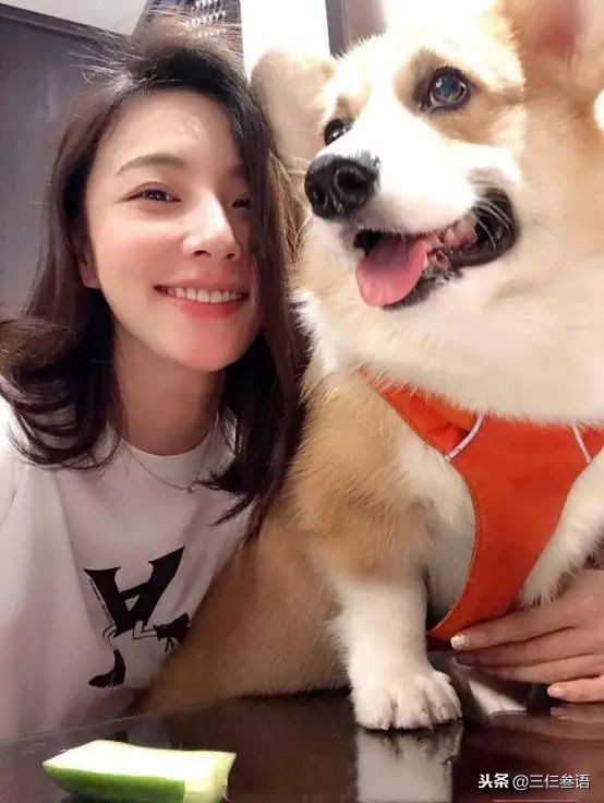 章若楠和王思聪在一起过吗,王思聪上热搜章若楠