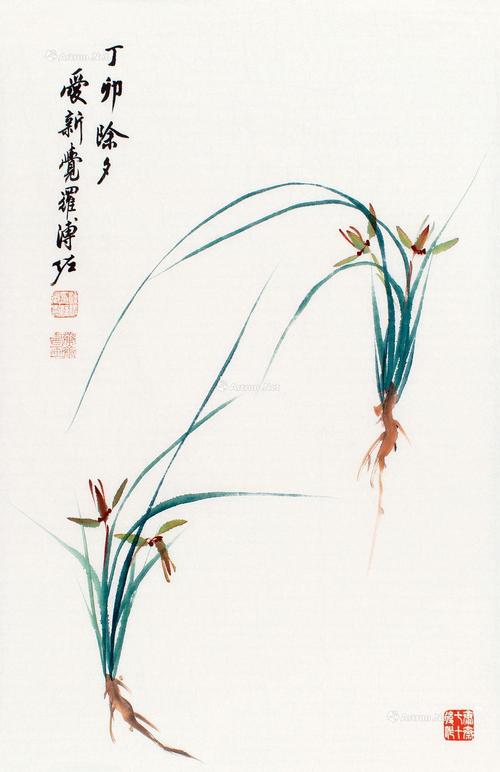 淡彩兰花100幅,顶级淡彩兰花图片