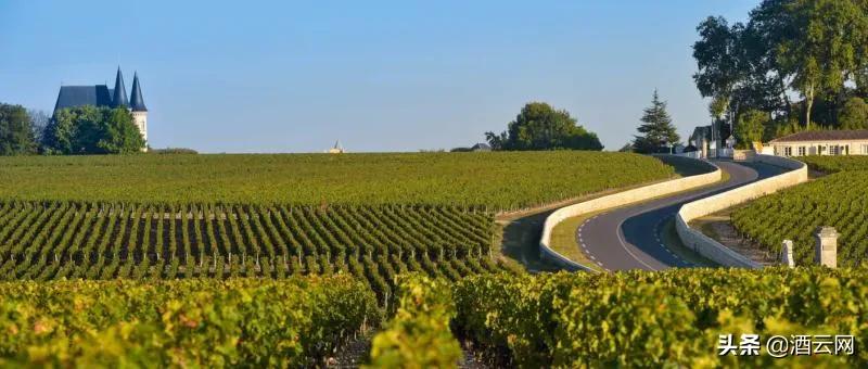 酒庄除了Château和Domaine，很多人不知道还有这些