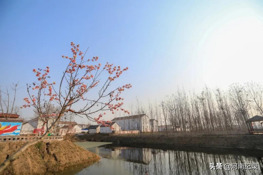 120个美丽乡村柘城入选,河南柘城县最美乡村