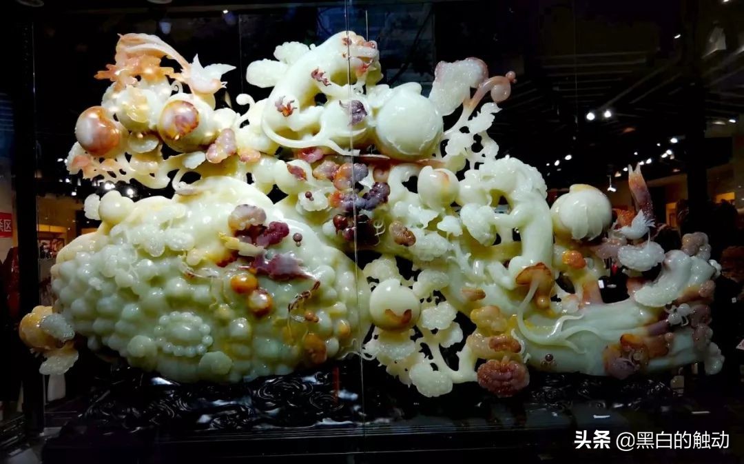 都说新疆好去新疆发展可靠么,都说新疆好地方