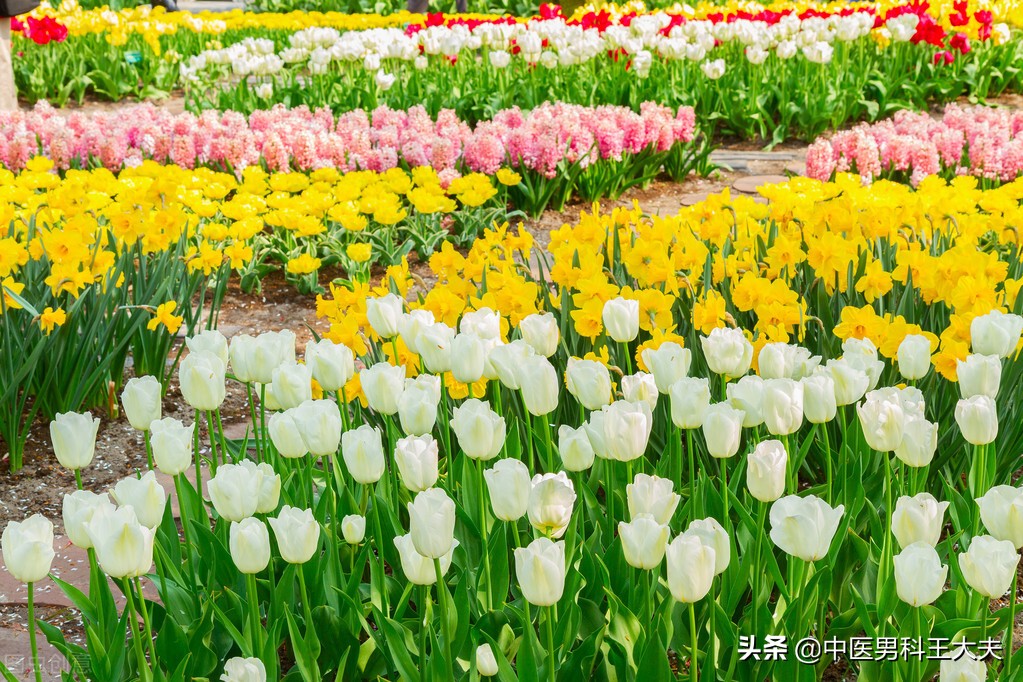 肾虚的危害是什么,肾虚对身体的危害有多大