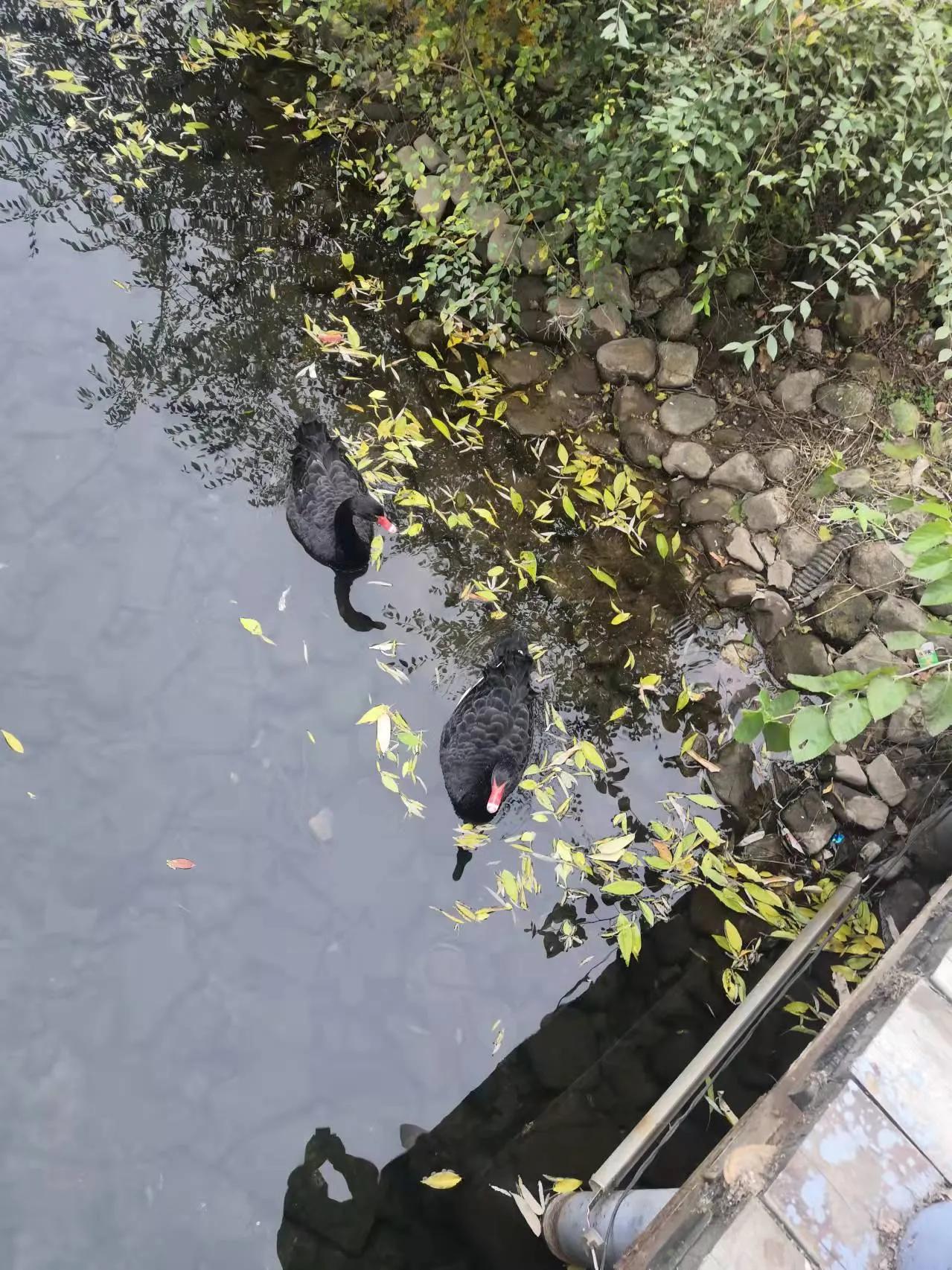 长白岛森林公园地铁,长白岛森林公园打卡攻略