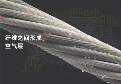 蒲公英女头,蒲公英女孩