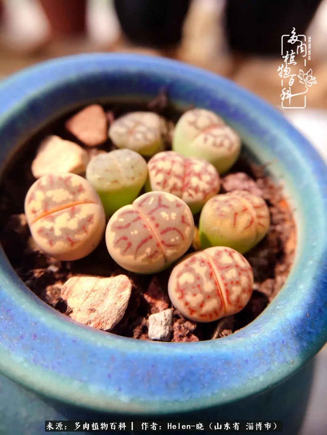 人到中年温暖如初,人到中年岁月静好