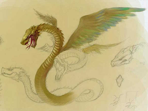 中国古神话各种龙,古代神话龙的来历
