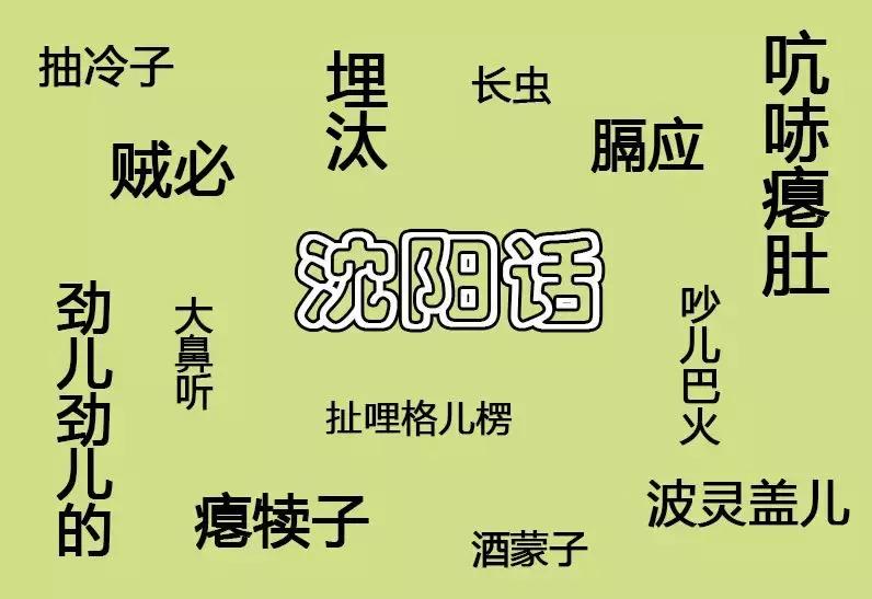 我叫沈阳,我叫沈阳话