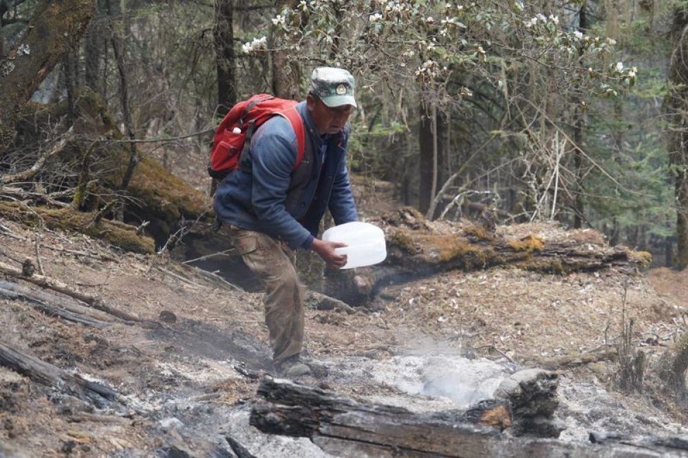 木里县森林火情,木里森林火灾后续