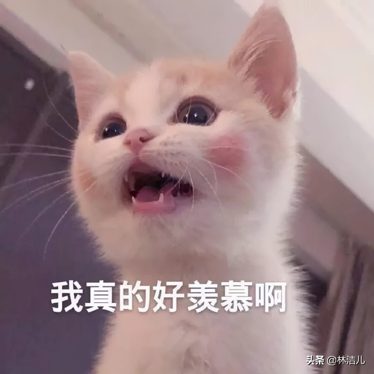 你怎么看待杨幂用两万块的眼霜,用眼霜也抵挡不住黑眼圈