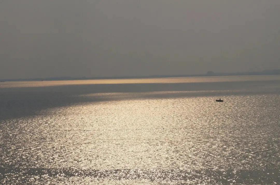 龙虾吃得最多的是哪个地方,全国小龙虾必吃50强