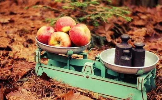 好吃好喝又好玩的大礼包,好吃又好玩大礼包