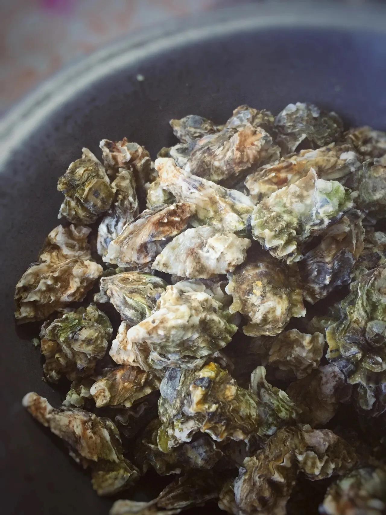 辽东半岛小渔村,辽南小渔村