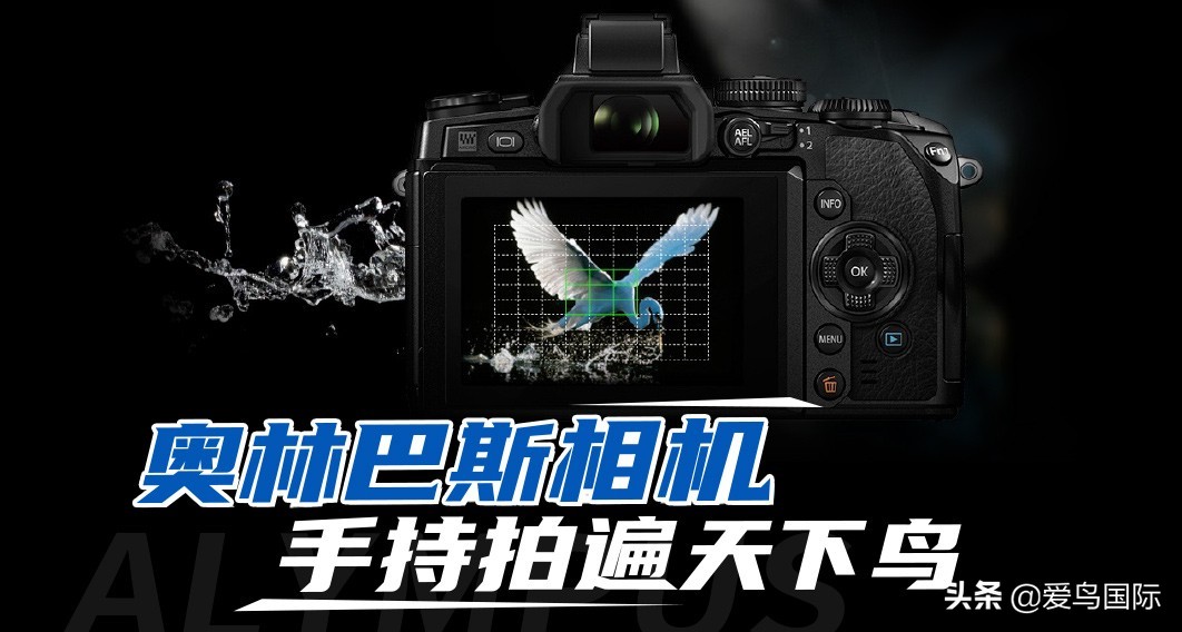 奥林巴斯单反全系列相机,奥林巴斯三千相机推荐