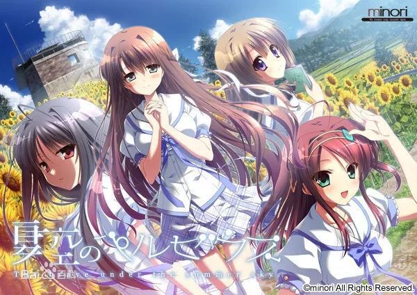 新海诚参与的作品,新海诚公司