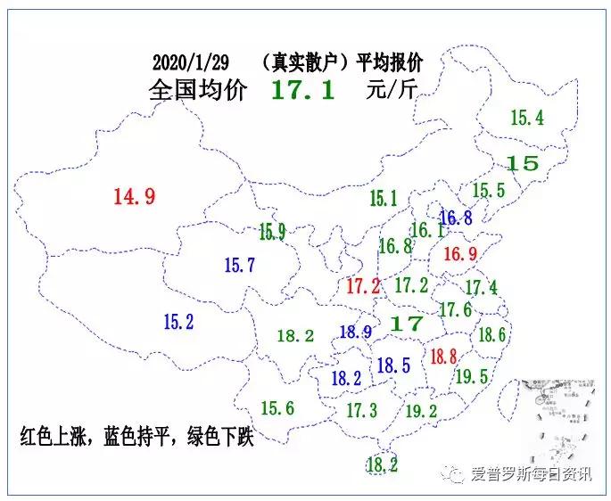 今日白条最新行情,未来5年白条价格