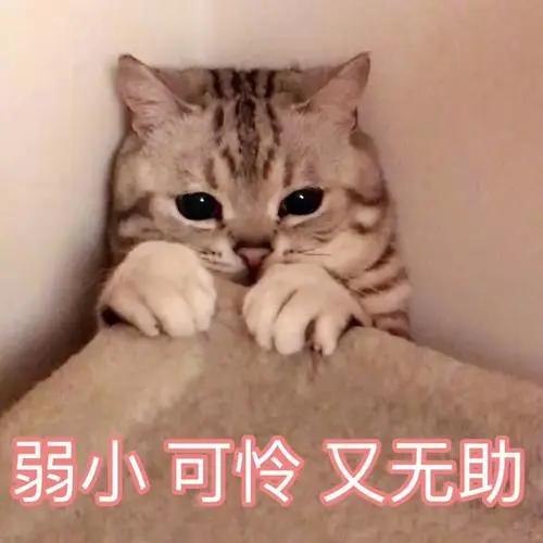 妈妈发现女儿身上有血迹,母亲发现女儿身上散发臭味