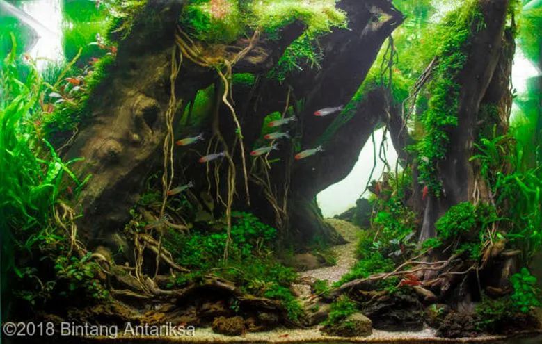 造景如何看起来有层次,十个最好看的造景