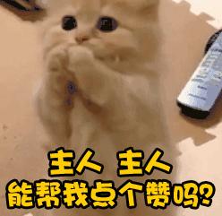 建业引援王宝山,河南建业王宝山引援