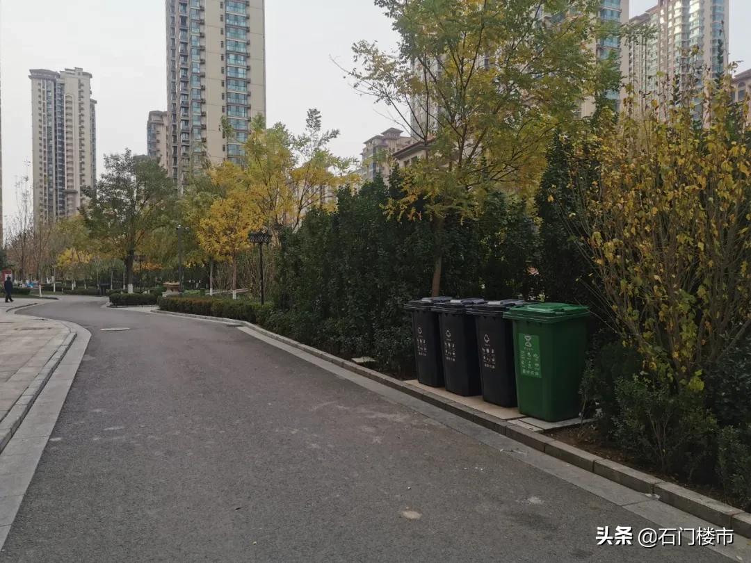 近30天逾350人看房！洋味足却有bug！中介说：采光不太好
