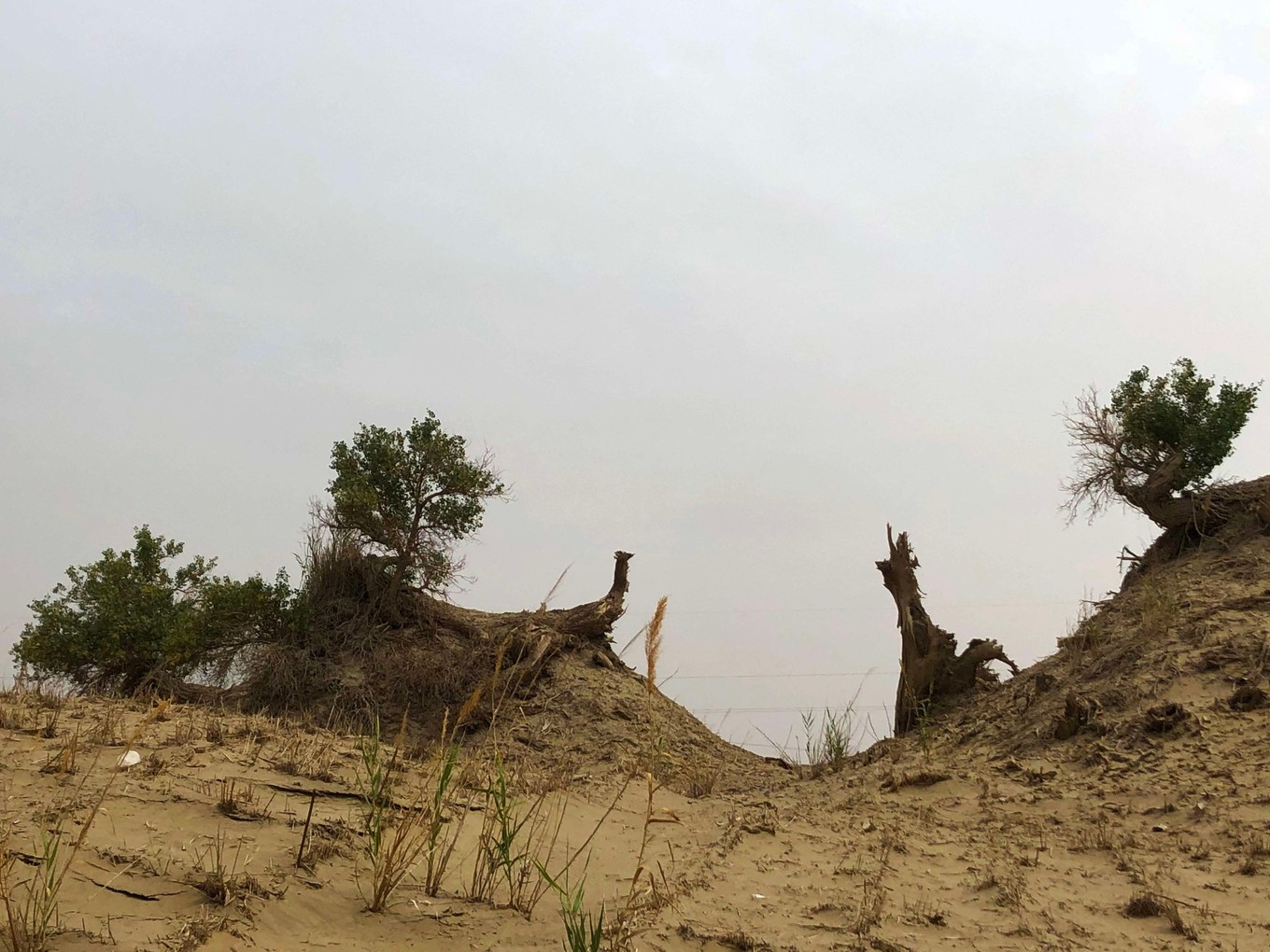 且末和若羌，楼兰古国代表